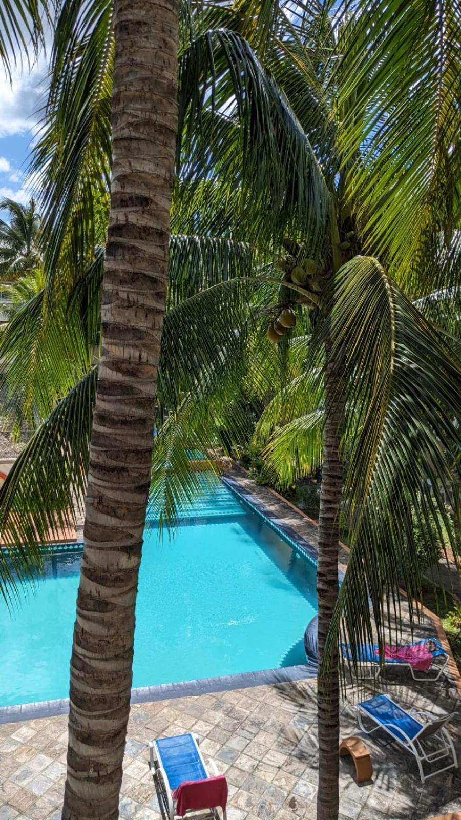 Charming Close To & Amenities - De Charme Proche Apartment Flic en Flac