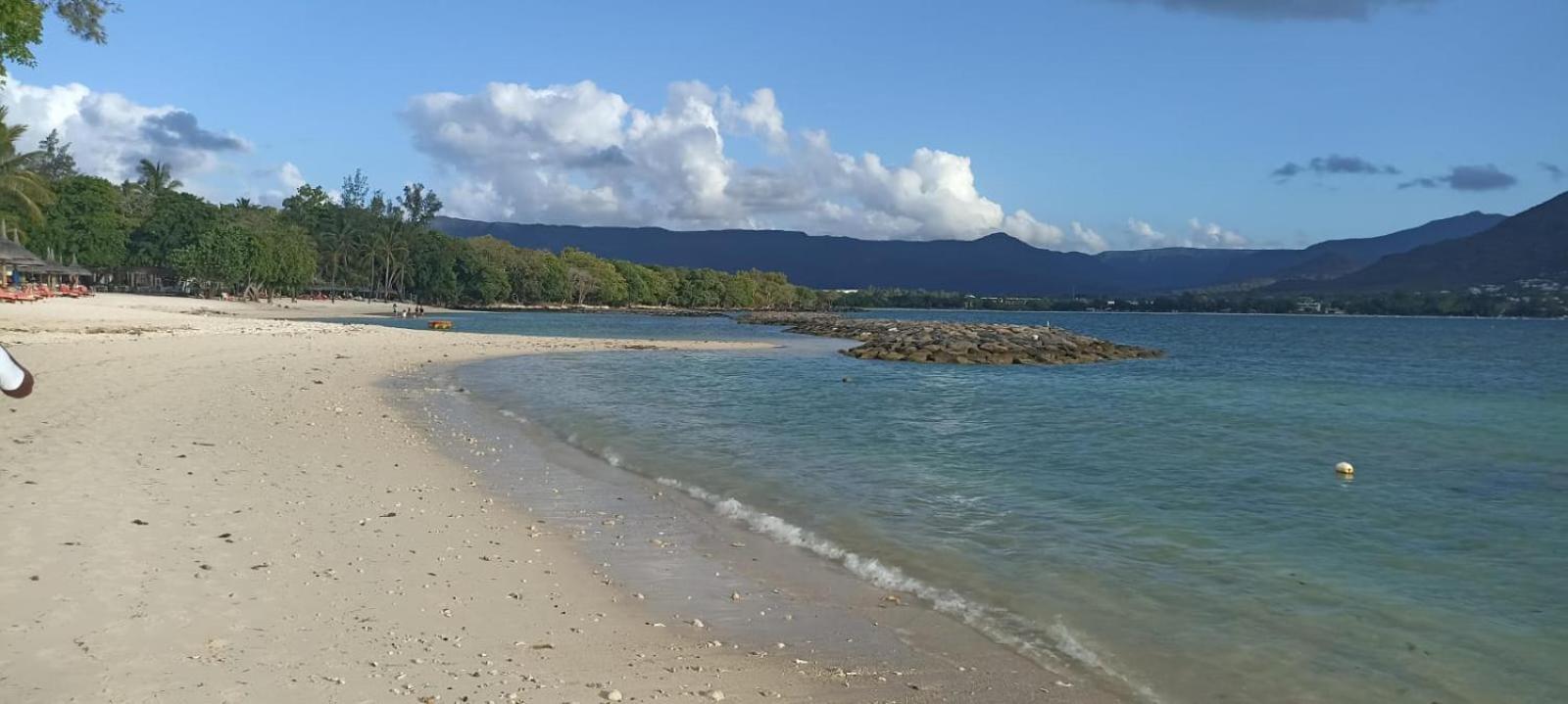 Charming Close To & Amenities - De Charme Proche Apartment *